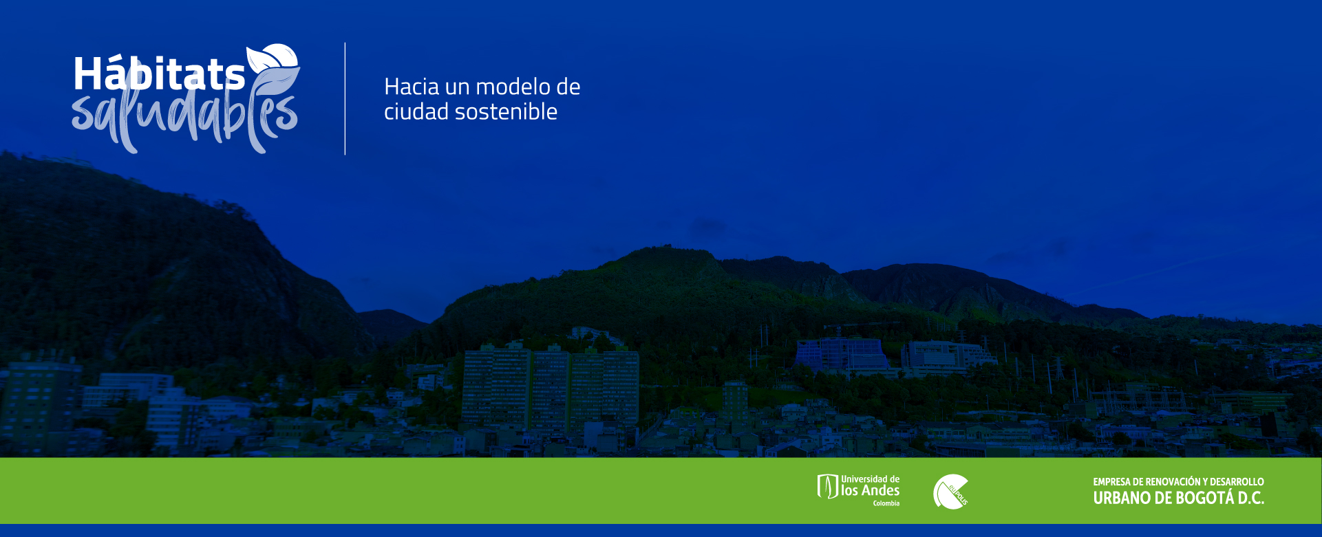 Webinar ´Ciudades saludables'