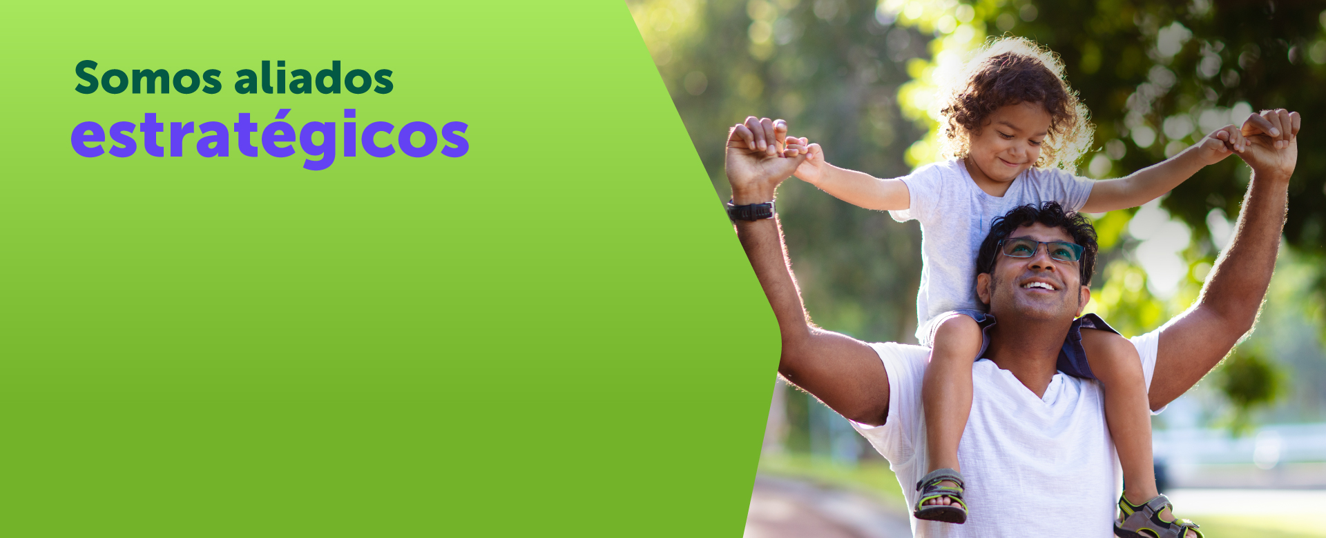 Banner portafolio comercial