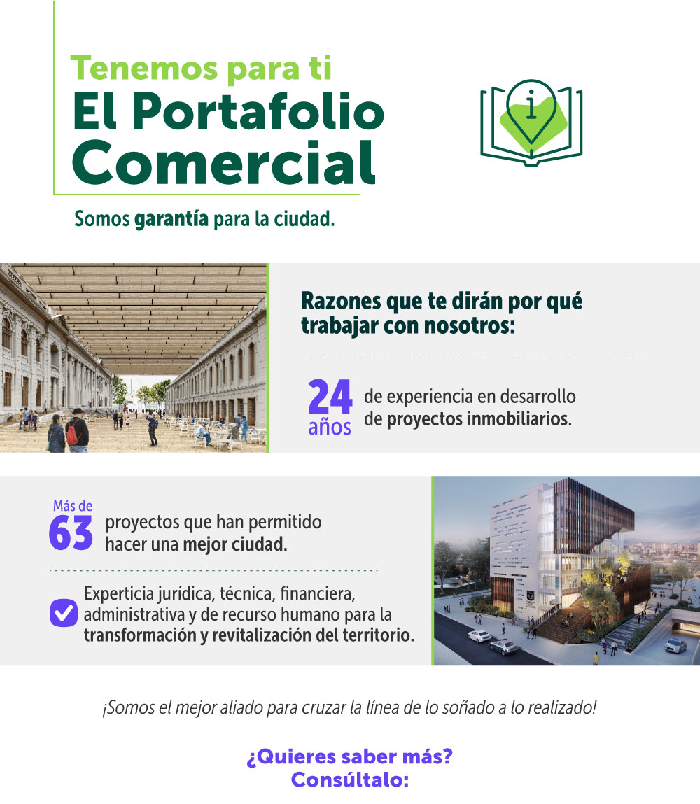 infografía portafolio comercial